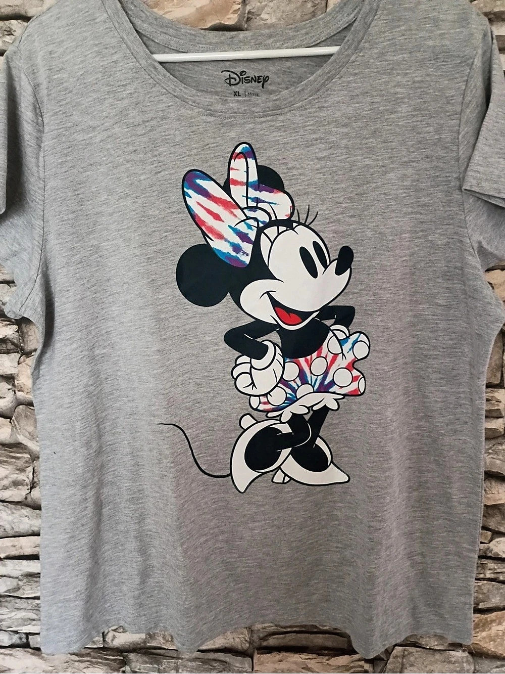 Disney Minnie Mouse Family Fun Graphic Tee in Gray Size XL